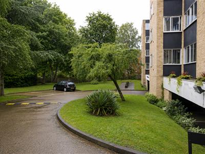 Picture 14